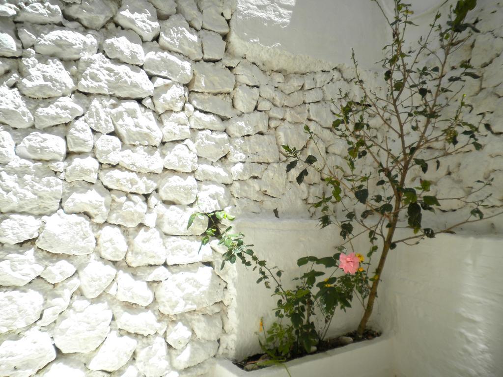 Kostas Studios II Vasilikí Exterior foto
